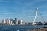 Erasmusbrug Rotterdam