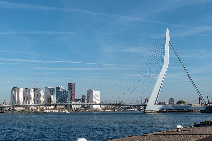 Erasmusbrug Rotterdam von Anouk IJpelaar
