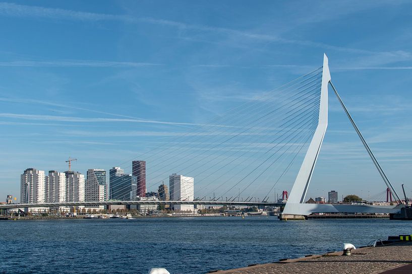 Erasmusbrug Rotterdam by Anouk IJpelaar