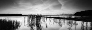 Insel Rügen am großen Bodden in schwarzweiss .