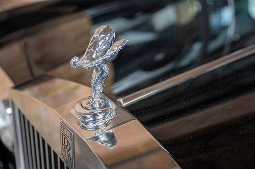 Kühlerkunst – Figuren, Embleme, Fronten