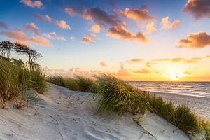 Plage de rêve sur Daniela Beyer