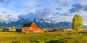 Panorama Mormonenreihe, Grand Teton N.P, Wyoming