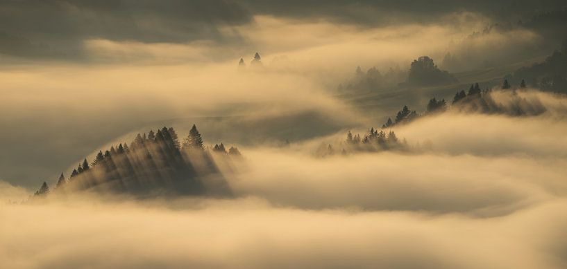 Pieniny gebergte van Wojciech Kruczynski