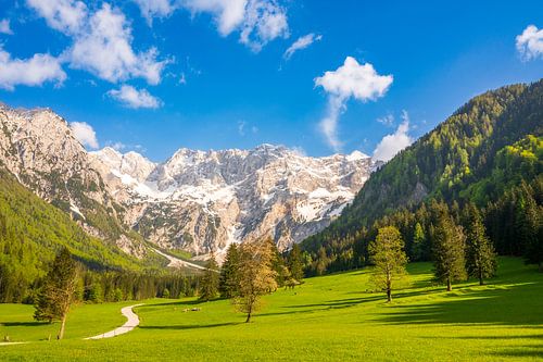 Pad door de Zgornje Jezersko vallei in de lente