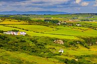 The landscape of Northern Ireland near Ballintoy by Henk Meijer Photography thumbnail