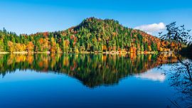 Herfstmeer met bos
