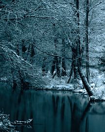 Winter Moment von NatureBuddie