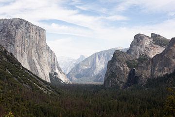 Yosemite Verenigde Staten van Ingeborg van Bruggen