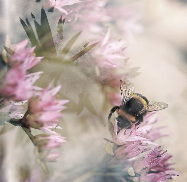 Das Leben einer Biene von Art by Janine