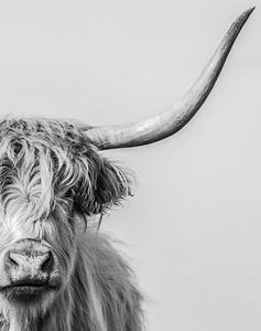 Porträt eines schottischen Highlanders in schwarz-weiß
