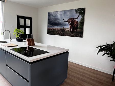 Highlander écossais et mauvais temps en route !