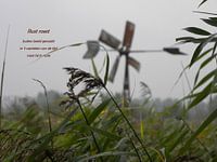 Rust Roest