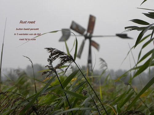 Rust Roest