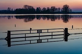 Hoge waterstand in de IJssel  by Michel Knikker