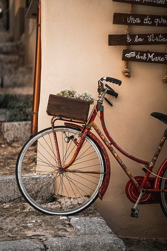 Fiets met Bloemen in Warme Mediterrane Straatsfeer