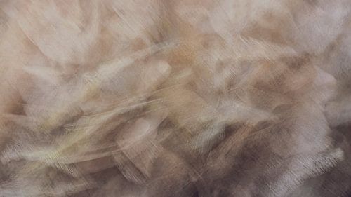 abstrakter Blumendruck