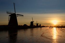 skater kinderdijk von carla verhulst