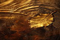Goldenes Herbstblatt schwimmt auf ruhigem Wasser