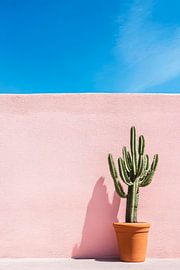 Cactus in front of a pink wall by Poster Art Shop