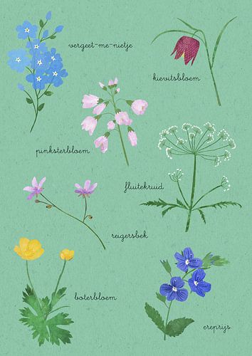 Assiette d'école "Fleurs de printemps