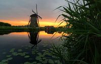Kinderdijk