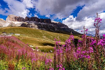 Schroffe Felsen, grüne Hügel und rosa Blumen in den Dolomiten von Dafne Vos