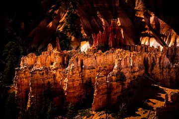 glowing hoodoos at Bryce Canyon National Park in Utah USA by Dieter Walther