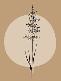 Schilf in Beigetönen von Anjo Kan