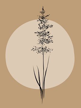 Roseaux dans les tons beiges sur Anjo Kan