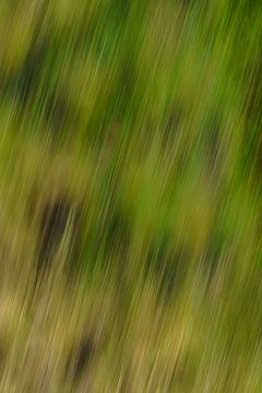 Abstract Grass 2