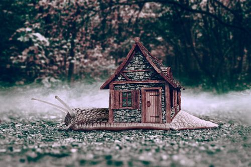 Middeleeuwse Slak Beeldmanipulatie - Unieke Kunstfoto van Natuur en Geschiedenis