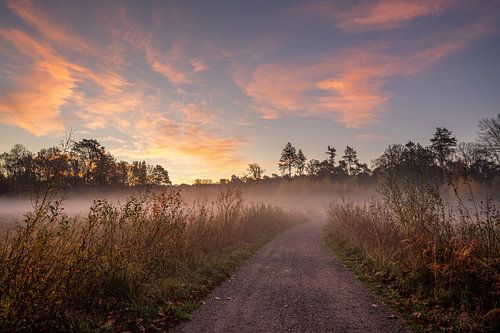 Ohligser Heide, Solingen, Bergisches Land, Duitsland van Alexander Ludwig