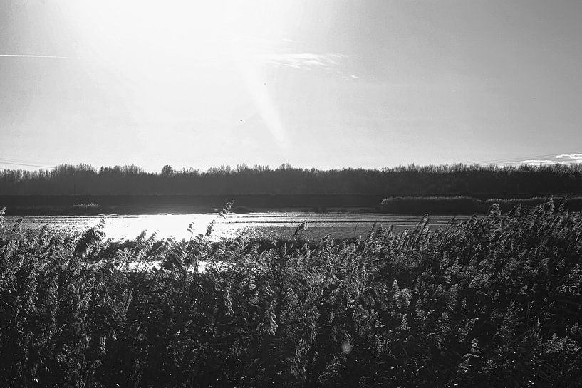sun by richard admiraal
