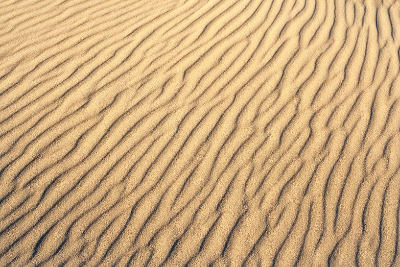Motifs dans le sable des dunes formés par le vent par Beschermingswerk voor aan uw muur