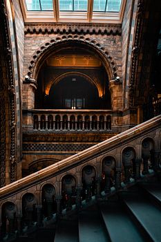 De trappen van National history museum Londen