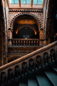 De trappen van National history museum Londen van 7.2 Photography