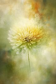 Blume von Bert Nijholt