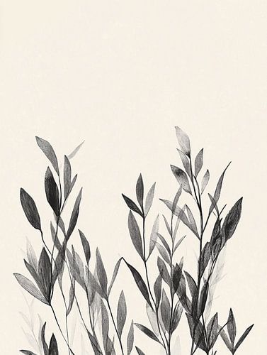 Illustration botanique délicate en noir et blanc représentant des feuilles et des tiges