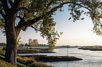 Paysage fluvial IJssel