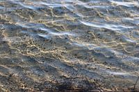 Water waves