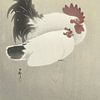 Ohara Koson - Le coq et la poule (édité) sur Peter Balan