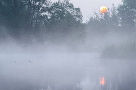 Sunrise above the lake by Hans Debruyne