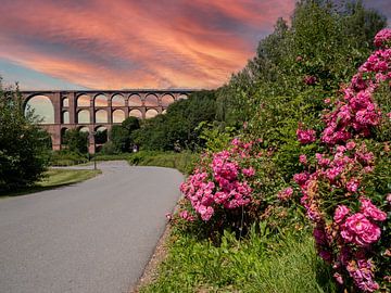 Pont de la vallée de Göltz -Viaduc Vogtland-DDR-Brücke sur Animaflora PicsStock