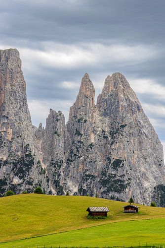 Schlern auf der Seiser Alm