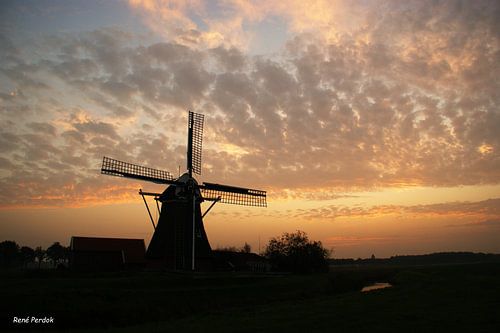 Molen