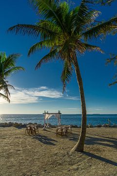 USA, Florida, Bewegende kleine Hochzeitszeremonie am Strand von adventure-photos