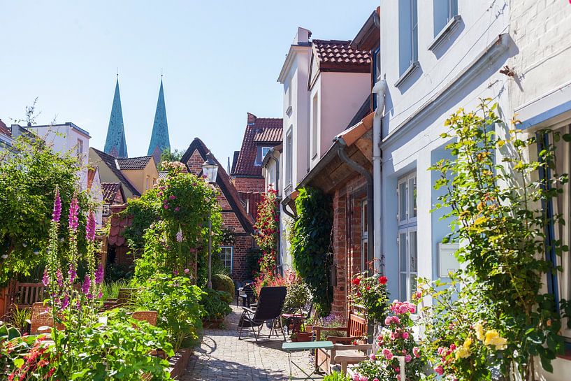 Rozengang, oude binnenstad, Lübeck, Sleeswijk-Holstein van Torsten Krüger