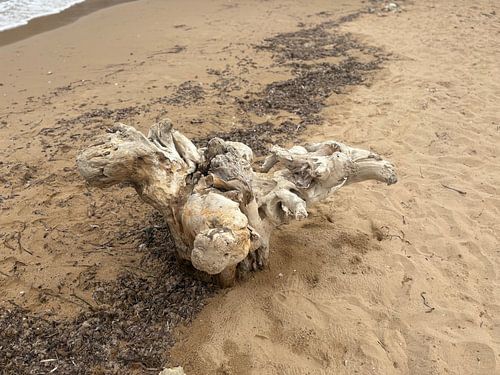 Sizilien, Naturkunst am Strand von Casa del Re.