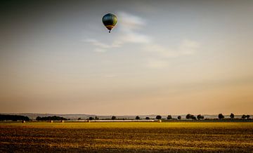 Limited Freedom by Mario van Middendorf